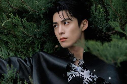 明星娱乐爆料王鹤棣是哪一期,王鹤棣惊喜亮相,揭秘哪一期精彩瞬间 第2张 明星娱乐爆料王鹤棣是哪一期,王鹤棣惊喜亮相,揭秘哪一期精彩瞬间 第2张